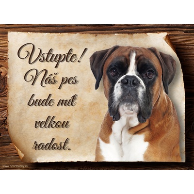 Sport hobby Cedulka Boxer Vstupte CP1191 20 x 15 cm