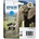 Epson T2432