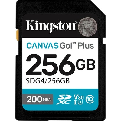 Kingston Canvas Go Plus 256 GB SDG4/256GB