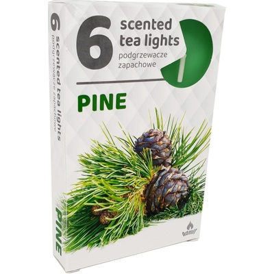 Admit Tea Lights Pine 6 ks
