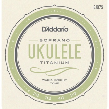 D'Addario EJ87S