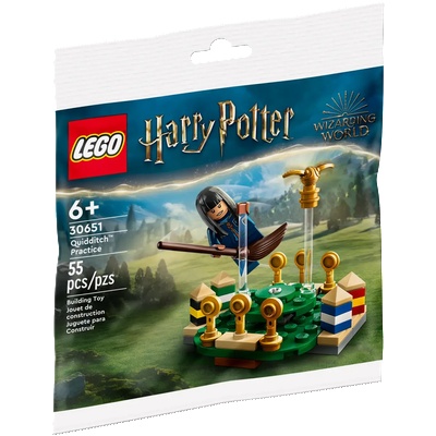 LEGO® Harry Potter™ - Quidditch Practice (30651)