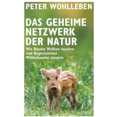 Das geheime Netzwerk der Natur Peter Wohlleben