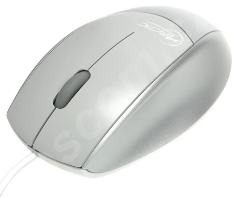 ARCTIC Mouse M121 L