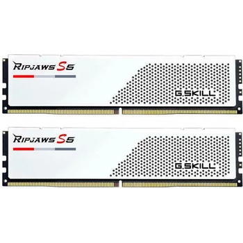 G.SKILL 64GB (2x32GB) DDR5 5600MHz F5-5600J3036D32GX2-RS5W