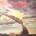 Deep Purple - Stormbringer (LP) (0600753635858)
