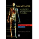 Somatologie