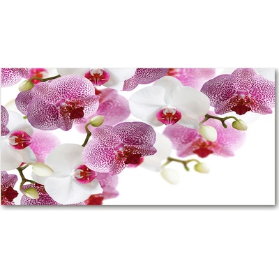 Foto obraz sklo tvrzené orchidea 100x50 cm