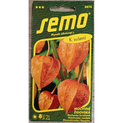 Mochyně PERUÁNSKÁ ORANŽOVÁ