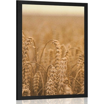 Plakát obilné pole - 60x90 no frame