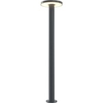 Maytoni Wald O420FL-L12GF1