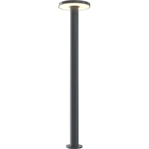 Maytoni Wald O420FL-L12GF1