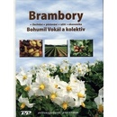 Brambory