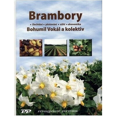 Brambory