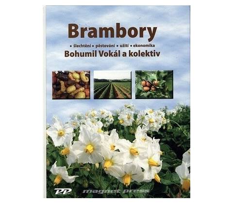 Brambory