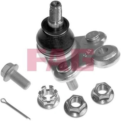 Čep spodního ramene Schaeffler FAG 825 0316 10