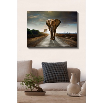 ASIR Nástěnný obraz ELEFANT plátno 70 x 100 cm