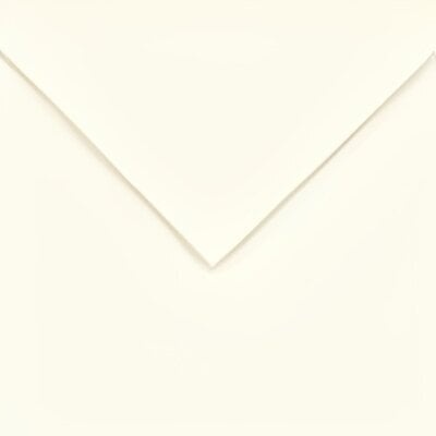 Canson Colorline 50x65 cm Pearl White 49 150 g Цветна хартия (C400110140)