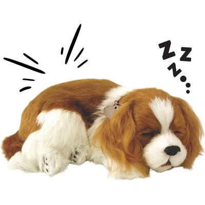 Dýchající štěňátko Cavalier King Charles Spaniel realistická – Zboží Dáma