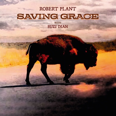Robert Plant - Saving Grace (CD) (0075597895384)