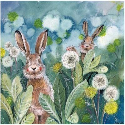 Přání Little rabbits