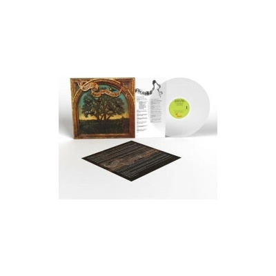Steeleye Span Now we are six 1 LP