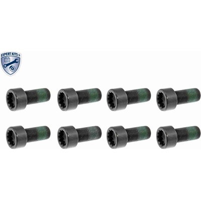Skrutka VAICO V10-2544