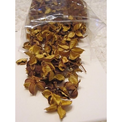 Heembloemex Deco Puklé plody žluté 50 g