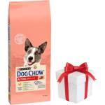 Dog Chow Adult Active Chicken 14 кг + безплатна изненада за кучето