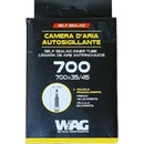 WAG FV