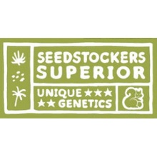 Seedstockers Superior Panty Punch semena neobsahují THC 5 ks