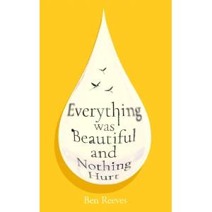 Everything was Beautiful and Nothing Hurt (ISBN: 9781805465805)