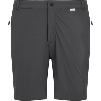 Regatta pánské kraťasy Mountain shorts II šedá/černá