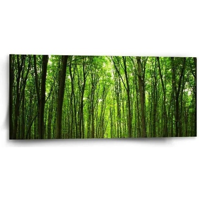 Sablio Obraz Cesta v lese - 110x50 cm