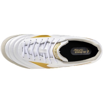 Mizuno Morelia Sala Elite IN