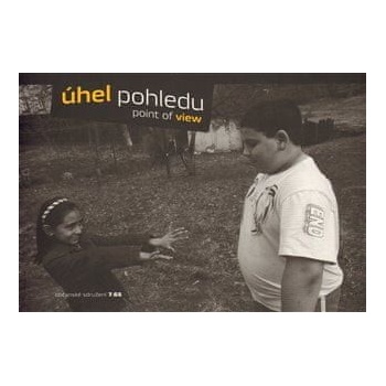 Úhel pohledu
