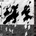 Document and Eyewitness Wire LP