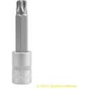 Bit 1/2 TORX T60