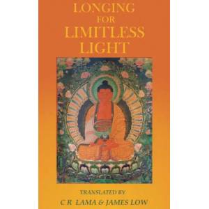 Longing for Limitless Light | James Low (ISBN: 9781739938109)