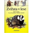 Zvířata v lese