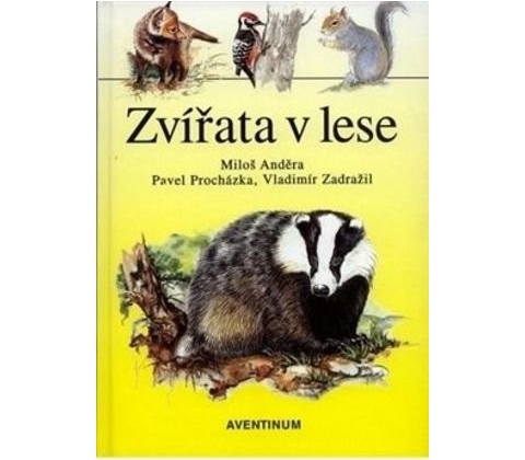Zvířata v lese