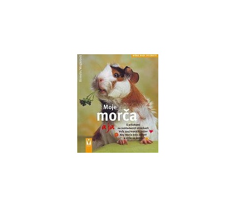 Moje morča a ja