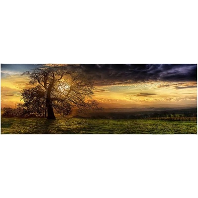 MORIMPEX Obraz plátno Strom, 50x150 cm