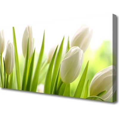 Obraz na plátně Tulipány Květiny 100x50 cm