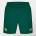 Castore Мъжки къси панталони Castore Ireland Training Shorts 2024 Mens - Green