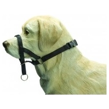 Dog Control 2 ohlávka na psa Beeztees