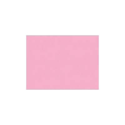 Rosco 110 Middle rose