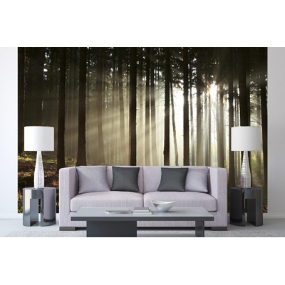 DIMEX ART Самозалепваща се флизелинова фототапета ранна сутрешна гора 375 x 250 см