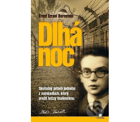 Dlhá noc
