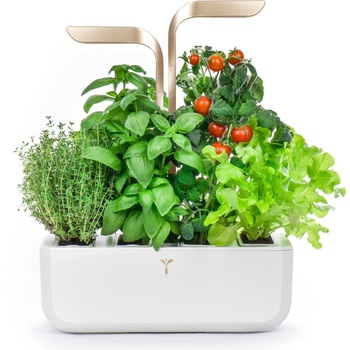 Véritable Саксия Veritable Connect Moonlight Gold (VPOT-SAWAS-EU2-160)